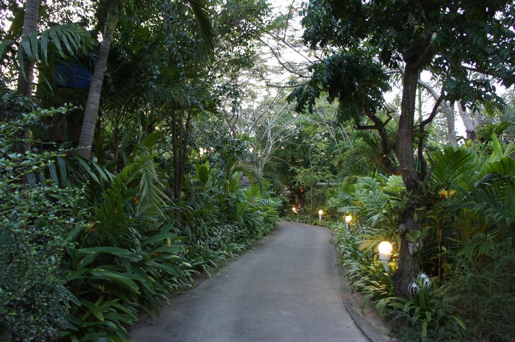 Palm Village Rawai Eksteriør billede
