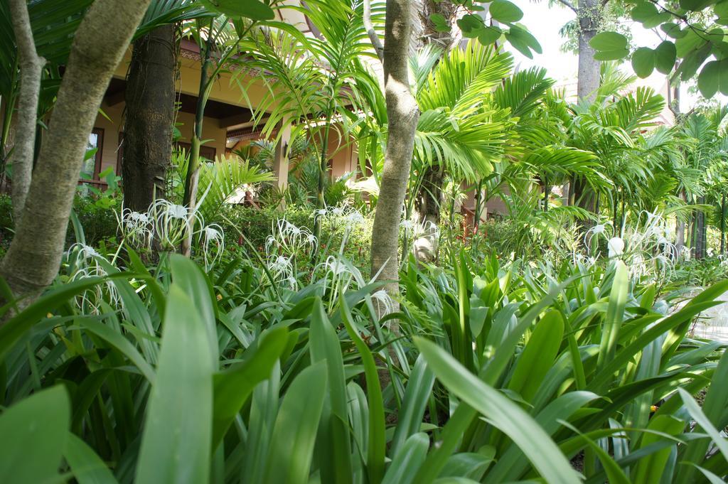 Palm Village Rawai Eksteriør billede