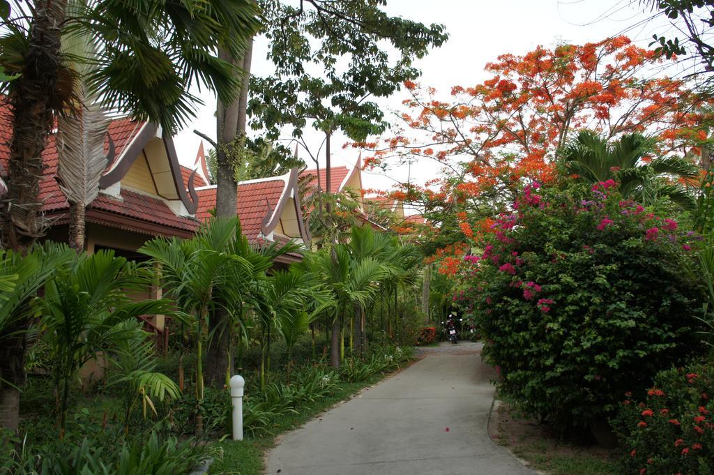 Palm Village Rawai Eksteriør billede