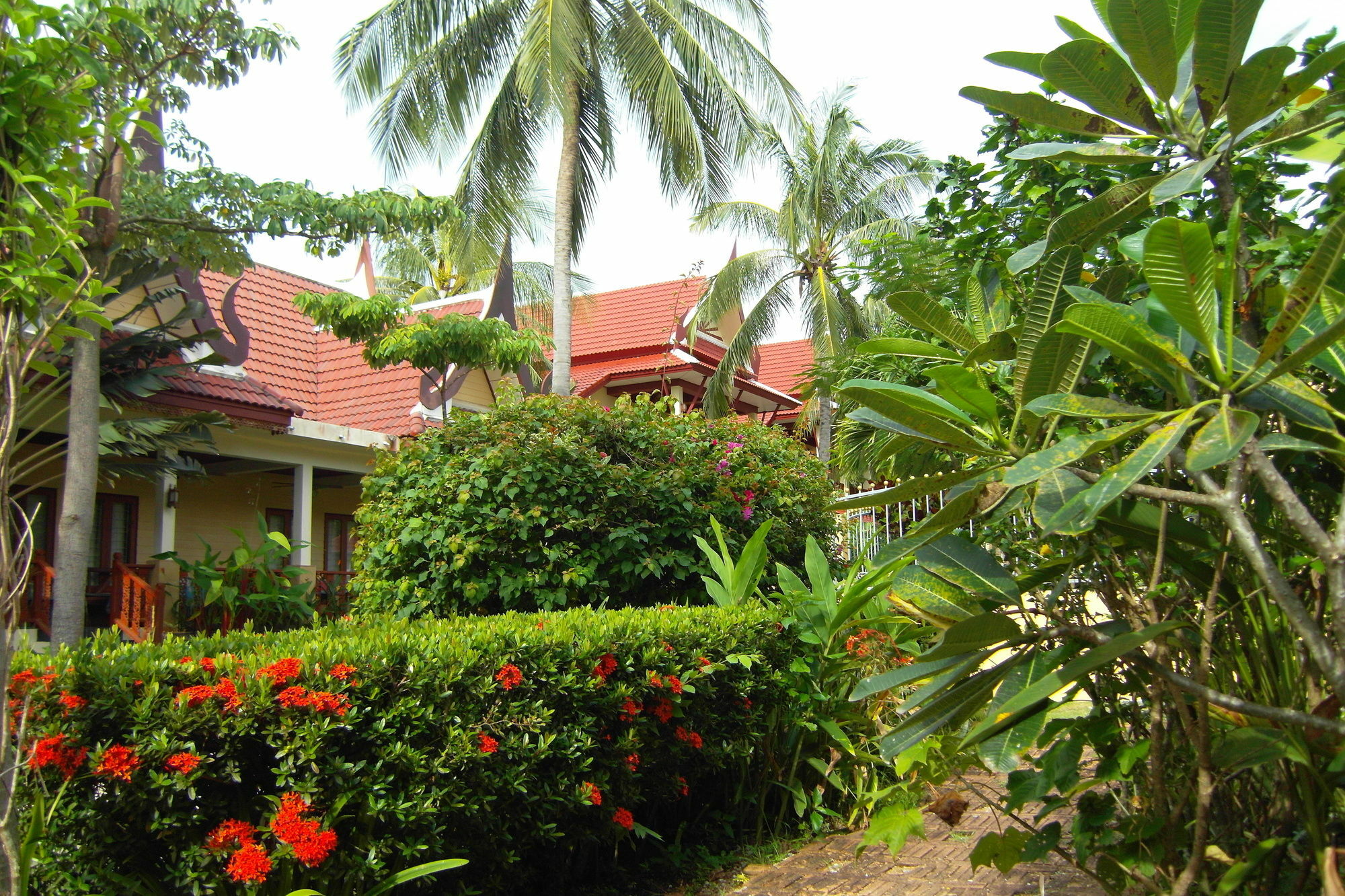 Palm Village Rawai Eksteriør billede